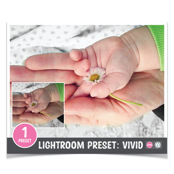 Lightroom Mobile Preset - Vivid